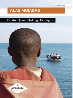 cover image of Alas mojadas